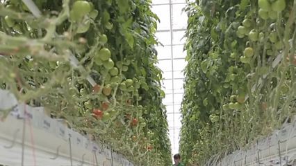 可控核聚變 從“人造太陽(yáng)”到未來(lái)能源的漫漫長(zhǎng)路