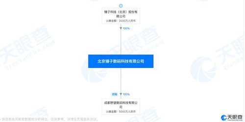 老賴CEO的自白 破產清算，遠非羅永浩口中那般簡單